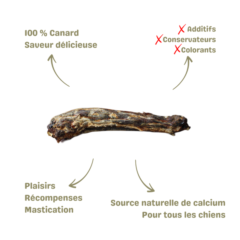 Friandise naturelle saine pour chien cous de canard description