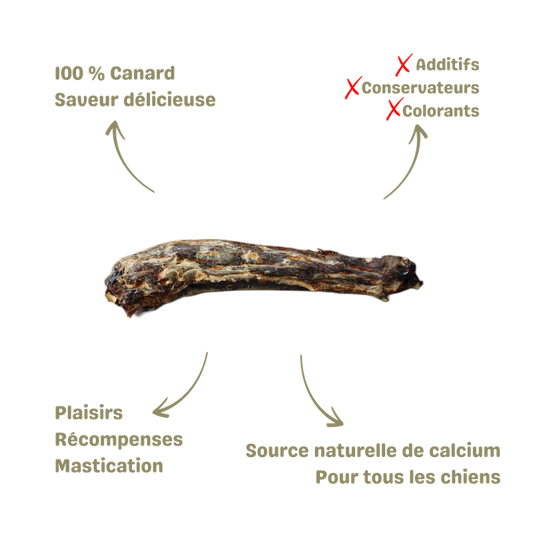 Friandise naturelle saine pour chien cous de canard description