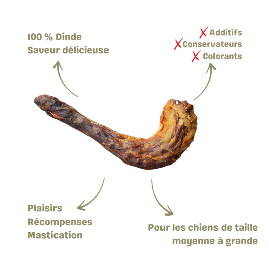 Friandise saine naturelle pour chien cous de dinde description