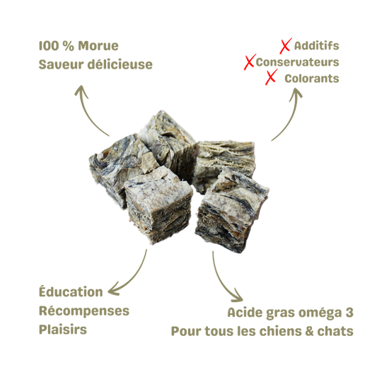 Friandise naturelle pour chien et chat délices de morue description