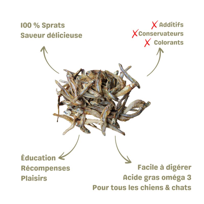 friandise naturelle pour chien et chat petit poisson sprat description