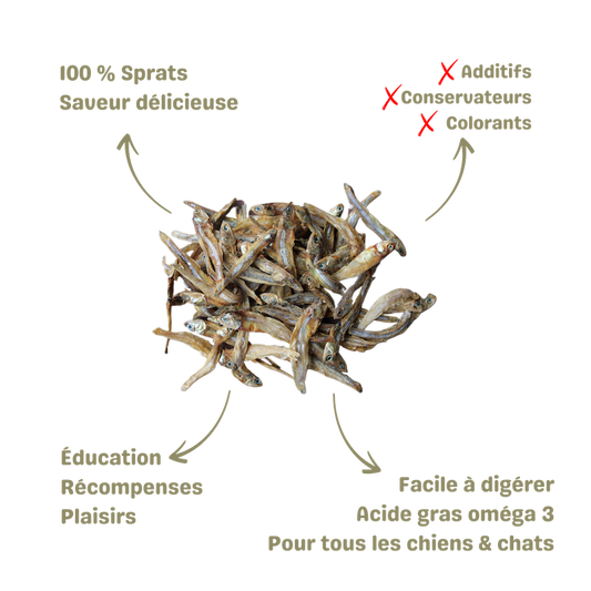 friandise naturelle pour chien et chat petit poisson sprat description