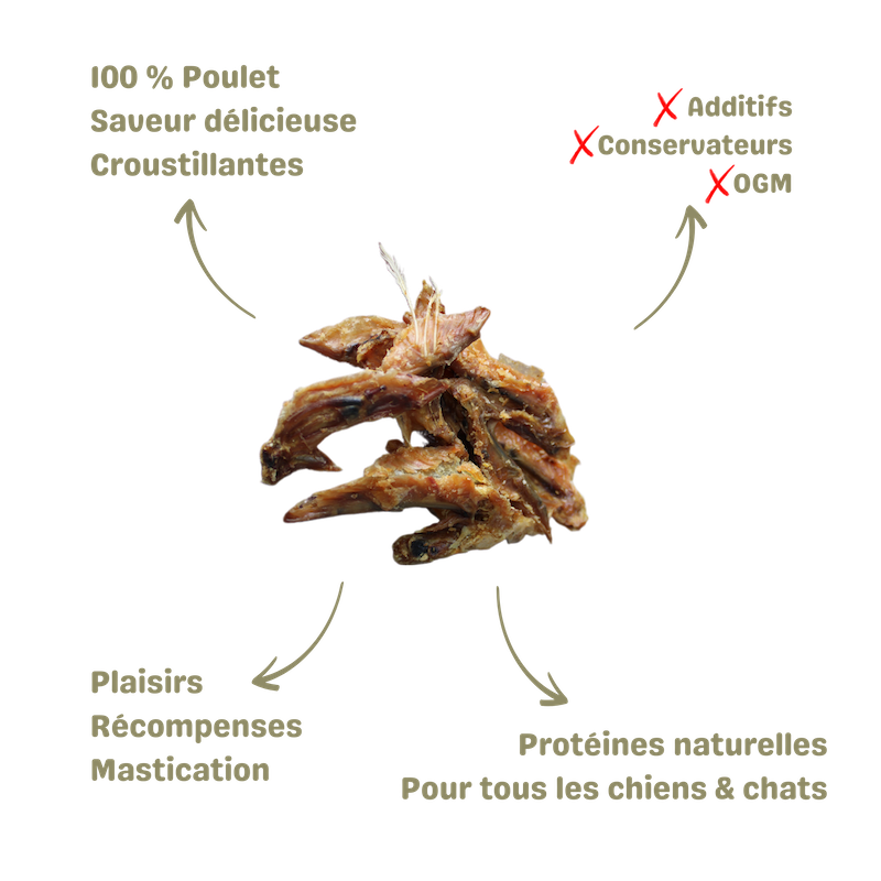 Friandise pour chien et chat ailes de poulet naturelle saine alimentation description