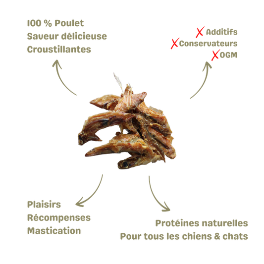 Friandise pour chien et chat ailes de poulet naturelle saine alimentation description