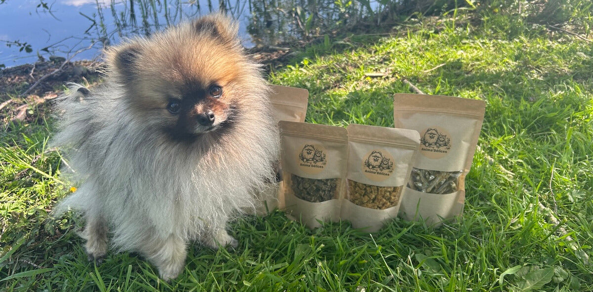 friandise chien chat naturelle