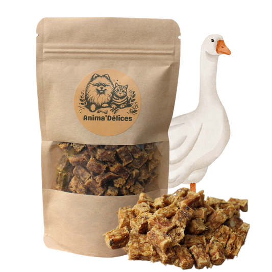 Découverte gourmande - Chat