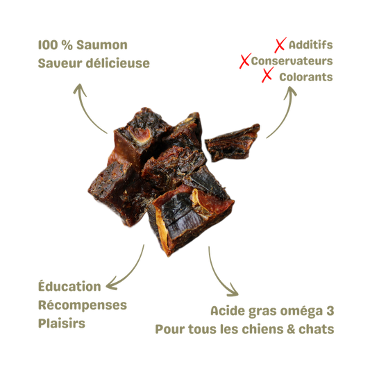 Friandise naturelle pour chien et chat délices de saumon description