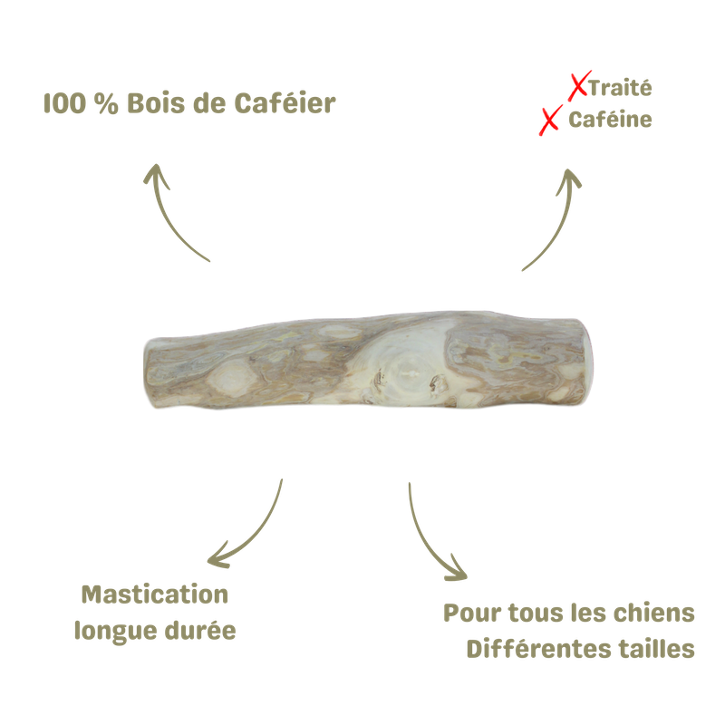 mastication saine et naturelle pour chien bâton bois de café description