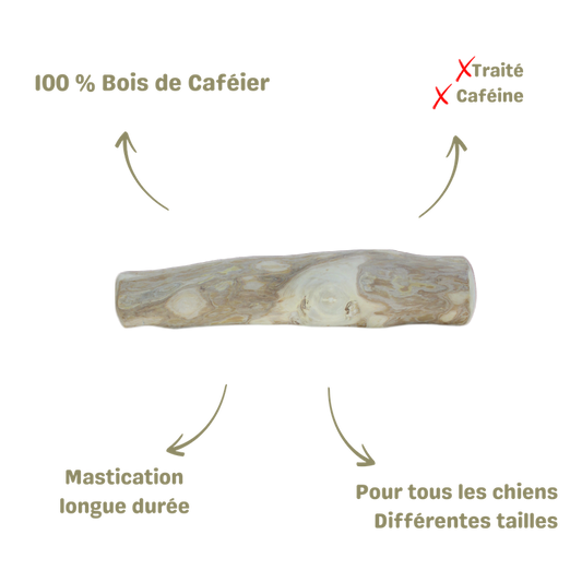 mastication saine et naturelle pour chien bâton bois de café description