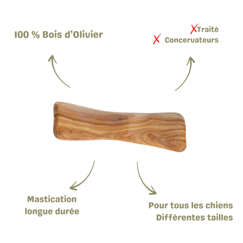 Mastication naturelle pour chien os en bois d'olivier description