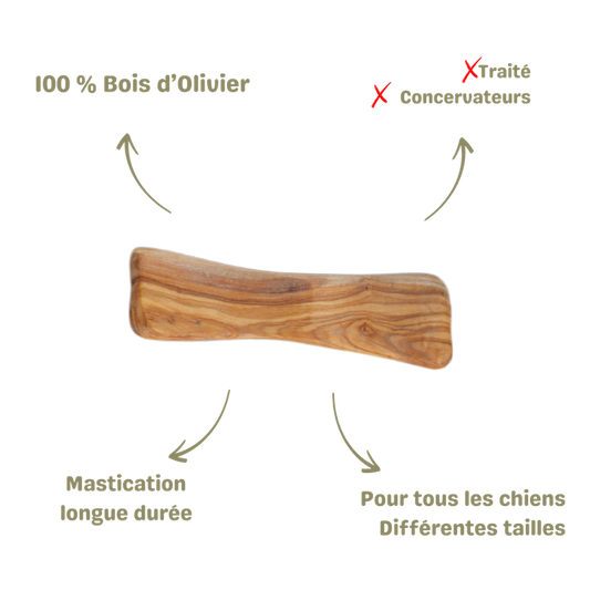 Mastication naturelle pour chien os en bois d'olivier description