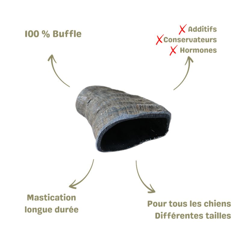 Mastication saine et naturelle pour chien corne de buffle description