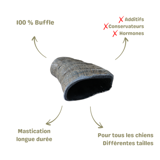 Mastication saine et naturelle pour chien corne de buffle description