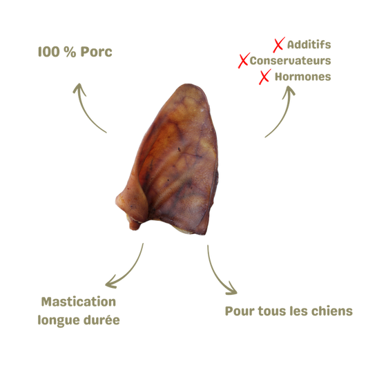 Mastication naturelle pour chien oreille de cochon description