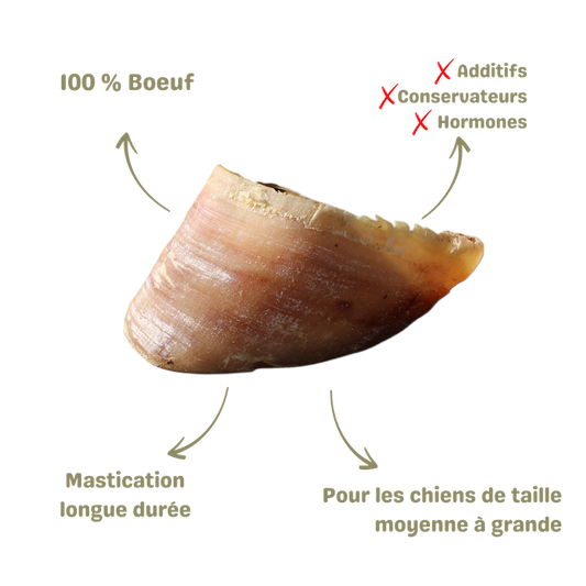 Mastication naturelle pour chien sabot de boeuf descriptions