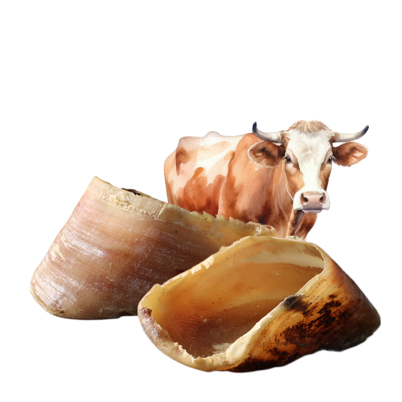 Mastication naturelle pour chien sabot de boeuf