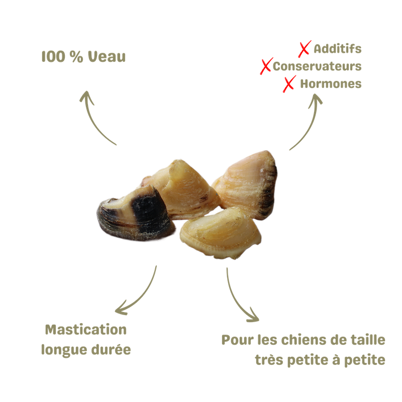 Mastication naturelle pour chien sabot de veau xs description