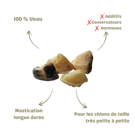 Mastication naturelle pour chien sabot de veau xs description