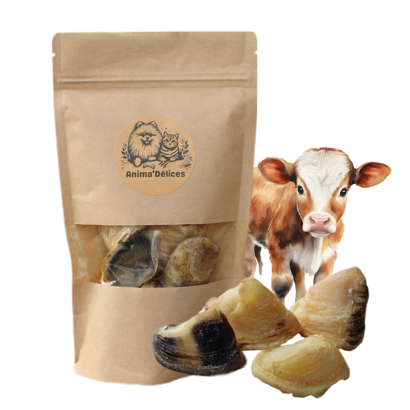 Mastication naturelle pour chien sabot de veau xs